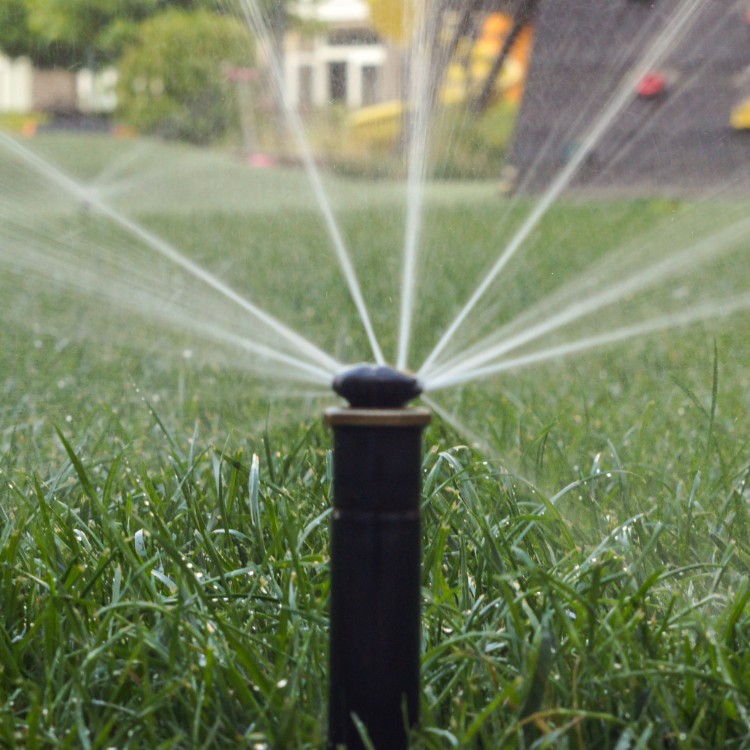 Just another WordPress site