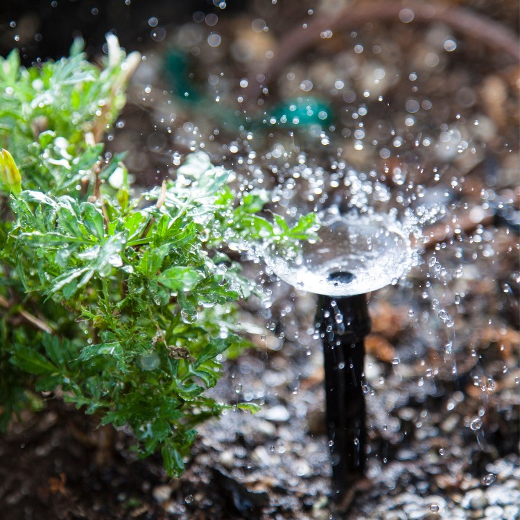 Just another WordPress site